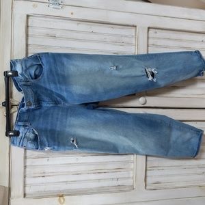 Lane Bryant, high-rise girlfriend straight jeans. Size 18